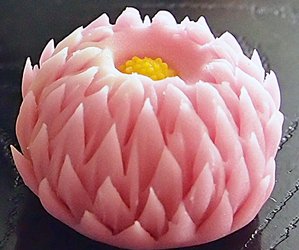 天竺牡丹