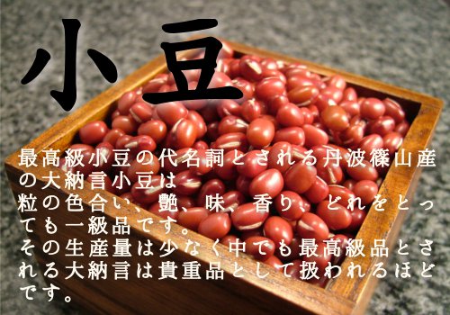 大きな写真