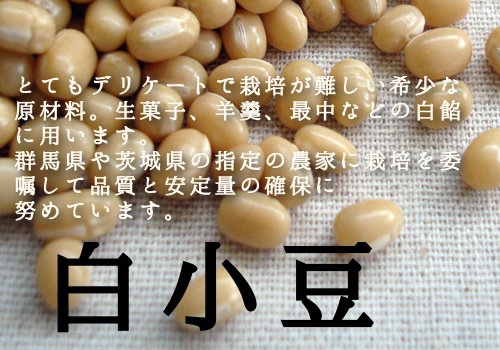 白小豆