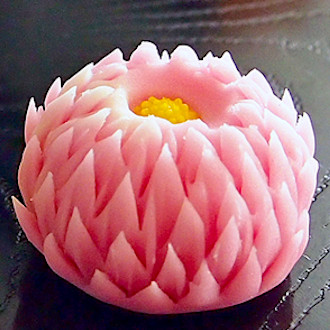 天竺牡丹