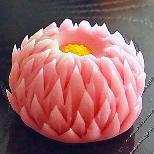 天竺牡丹