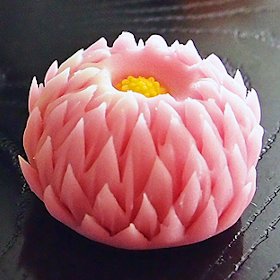 天竺牡丹