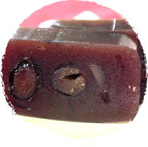 黒豆ようかん