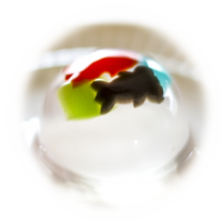 商品説明「金魚鉢」