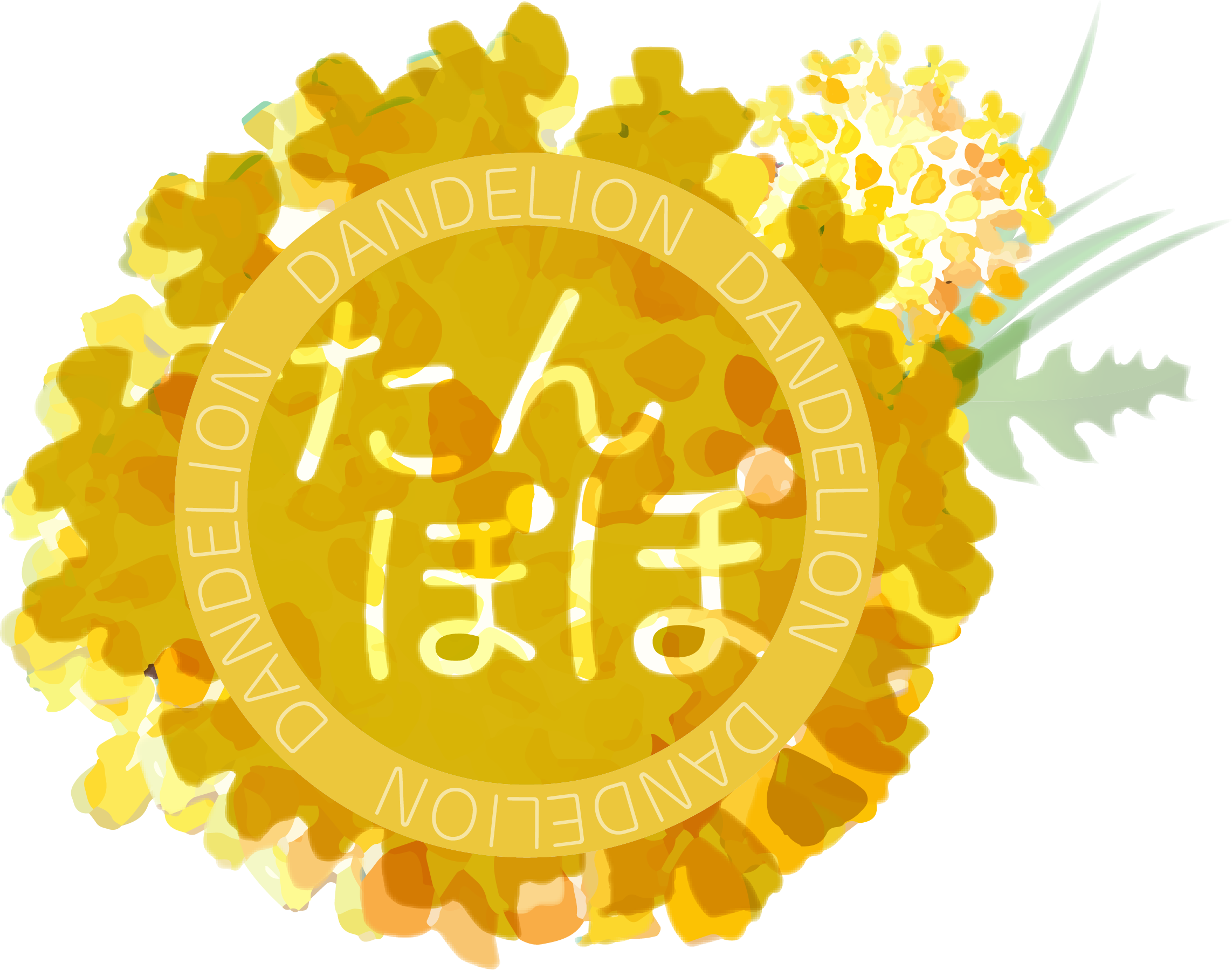 たんぽぽ