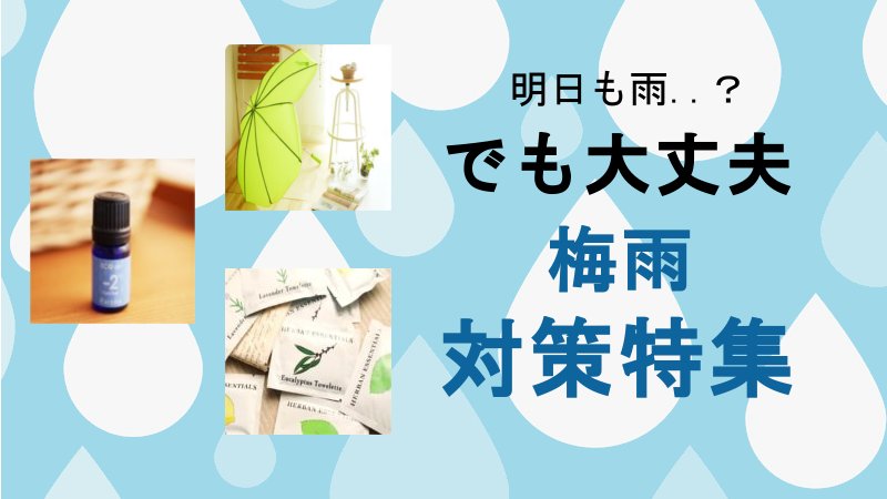 キャンペーン