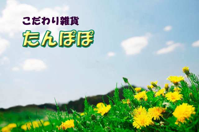 たんぽぽ