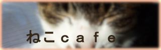 ねこｃａｆｅ