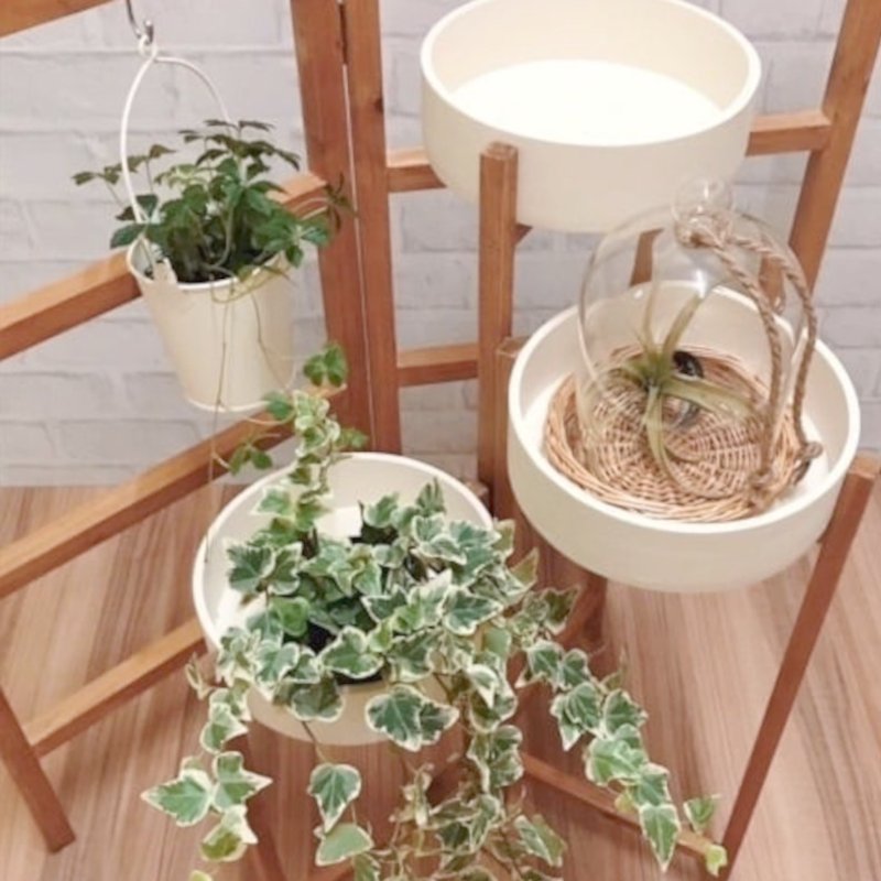 こだわり商品1